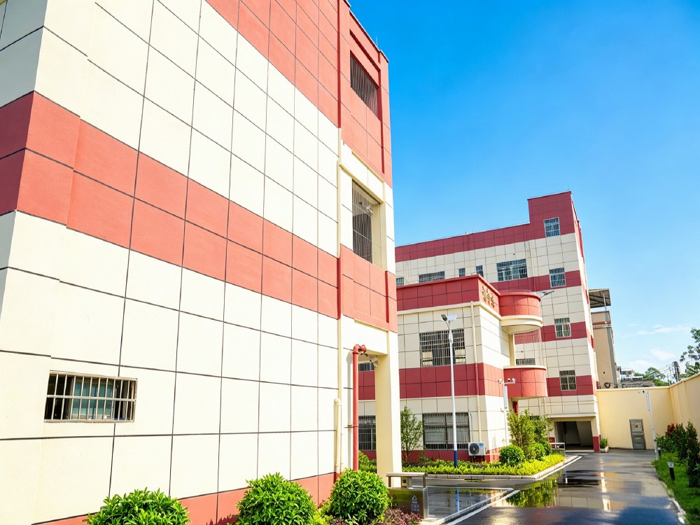 乐山知名叛逆孩子改变学校深度解析:从