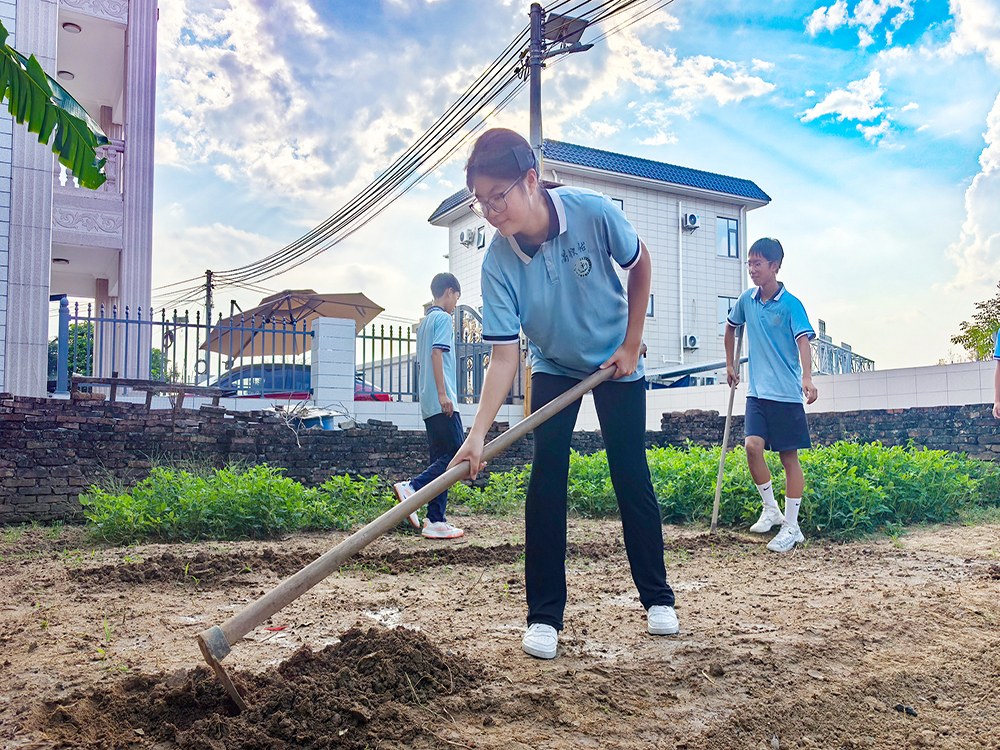 乐山专管不听话孩子的学校具体位置与选择指南